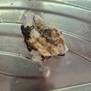 Arçelik Bulaşık Makinemde Bitmeyen Arıza Ve Çözülmeyen Mağduriyet