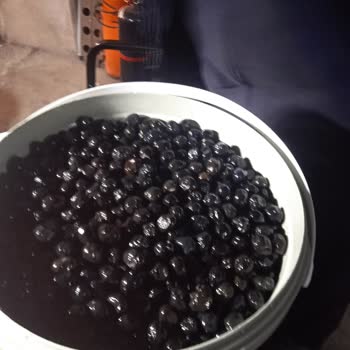 Ege'den Zeytinyağ Zeytin Dedikleri Gibi Gelmedi Kova Kırıktı İade Almadılar!