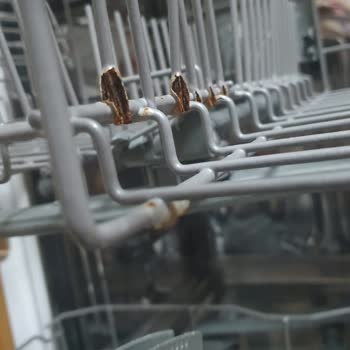 Franke Bulaşık Makinesi Sepeti Tekrar Paslandı, Kalıcı Çözüm İstiyorum