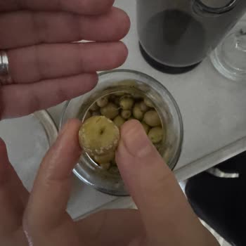 Yeni Alınan Bosch Buzdolabında Sebzelik Bölümünde Donma Sorunu Ve Çözüm Eksikliği