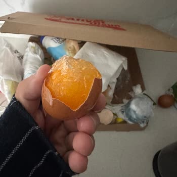 Yeni Alınan Bosch Buzdolabında Sebzelik Bölümünde Donma Sorunu Ve Çözüm Eksikliği