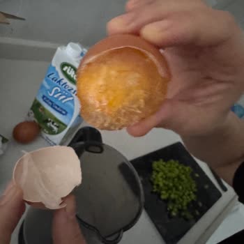 Yeni Alınan Bosch Buzdolabında Sebzelik Bölümünde Donma Sorunu Ve Çözüm Eksikliği