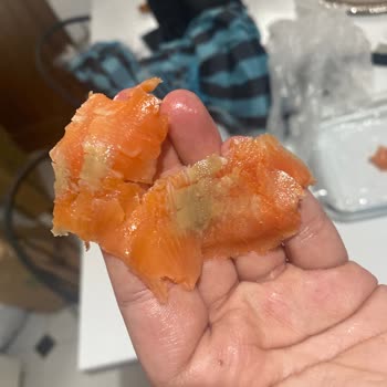 Son Kullanma Tarihi Geçmemiş Somon Bozuk Çıktı