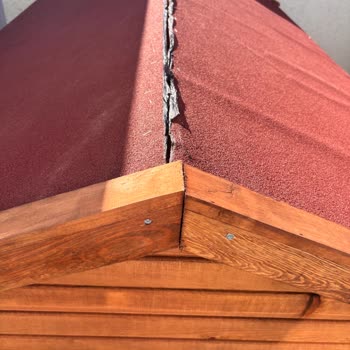 Köpek Kulübeleri Fiyaskosu: Hatalı Ürün, Eksik Belge Ve İlgisiz Firma