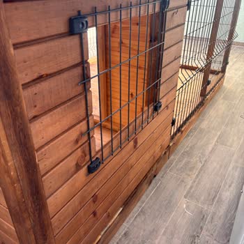 Köpek Kulübeleri Fiyaskosu: Hatalı Ürün, Eksik Belge Ve İlgisiz Firma