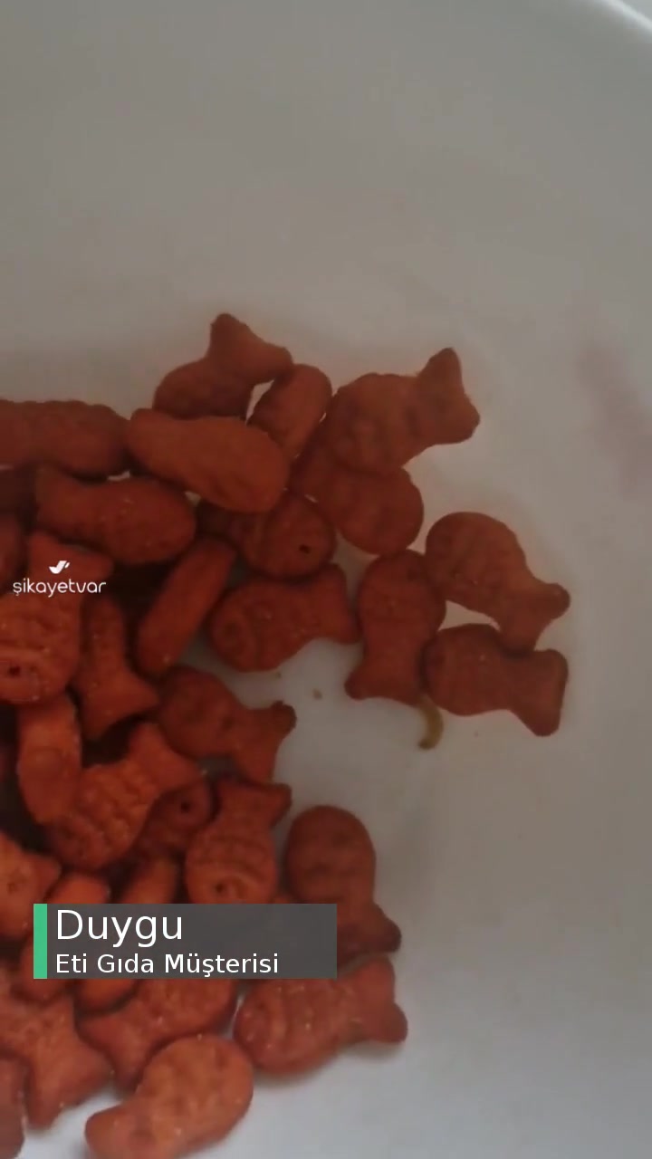 Eti Ketçaplı Balık Krakerin İçinden Çıkan Kurt videonun kapak resmi