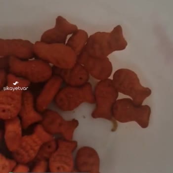 Eti Ketçaplı Balık Krakerin İçinden Çıkan Kurt