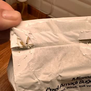 Migros'tan Aldığım Unun İçinden Kurt Çıkması Ve Para İadesi Talebim