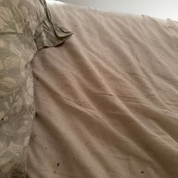 Penti Ev Giyim Ürününde Yoğun Tüylenme Ve Değişim Talebi