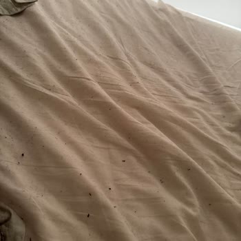 Penti Ev Giyim Ürününde Yoğun Tüylenme Ve Değişim Talebi