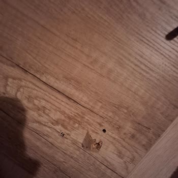 Güvenlik Riski Taşıyan Ofis Mobilyaları: Çocuklarımız Tehlike Altında