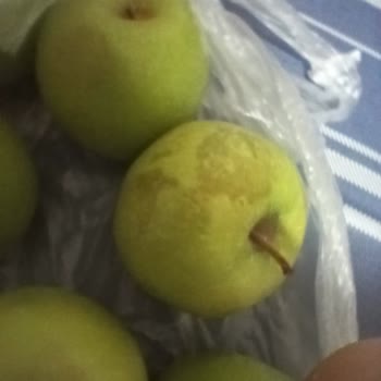 Migros Sanal Market'ten Ezilmiş Ve Çürük Elma Teslimatı