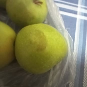 Migros Sanal Market'ten Ezilmiş Ve Çürük Elma Teslimatı