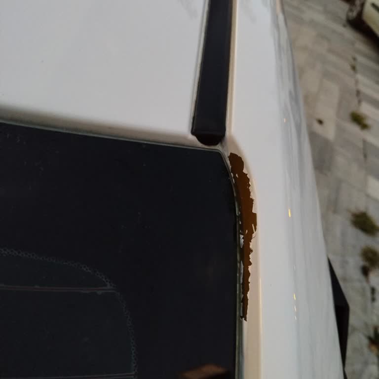 Honda Civic RS Boya Atması Sorunu Ve Garanti Kapsamında Mağduriyet