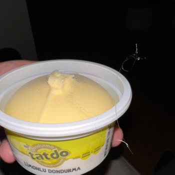 Dondurmadan Çıkan İpliğimsi Madde Şok Etti!