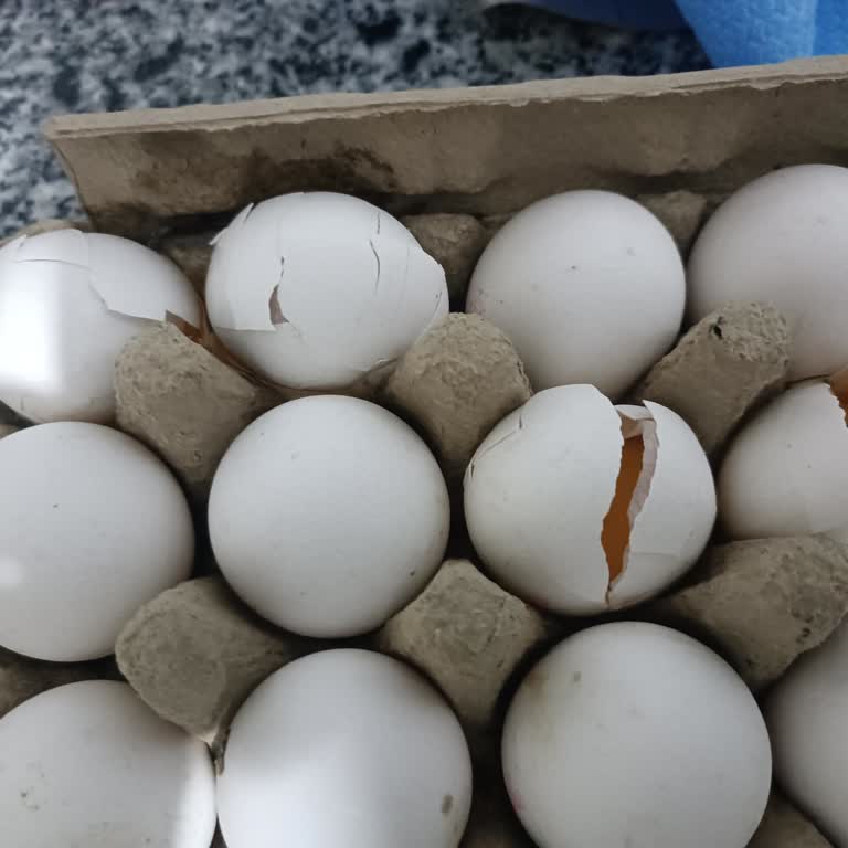 Kırık Yumurtalar Teslim Edildi, İade Ve Değişim Talebim Reddedildi