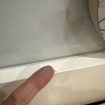 Pırıl Temizlik Temizlik Hizmeti Yapılmadı Ücret İadesi Talebim Reddedildi
