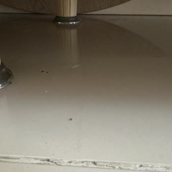 Pırıl Temizlik Temizlik Hizmeti Yapılmadı Ücret İadesi Talebim Reddedildi