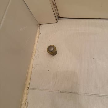 Pırıl Temizlik Temizlik Hizmeti Yapılmadı Ücret İadesi Talebim Reddedildi