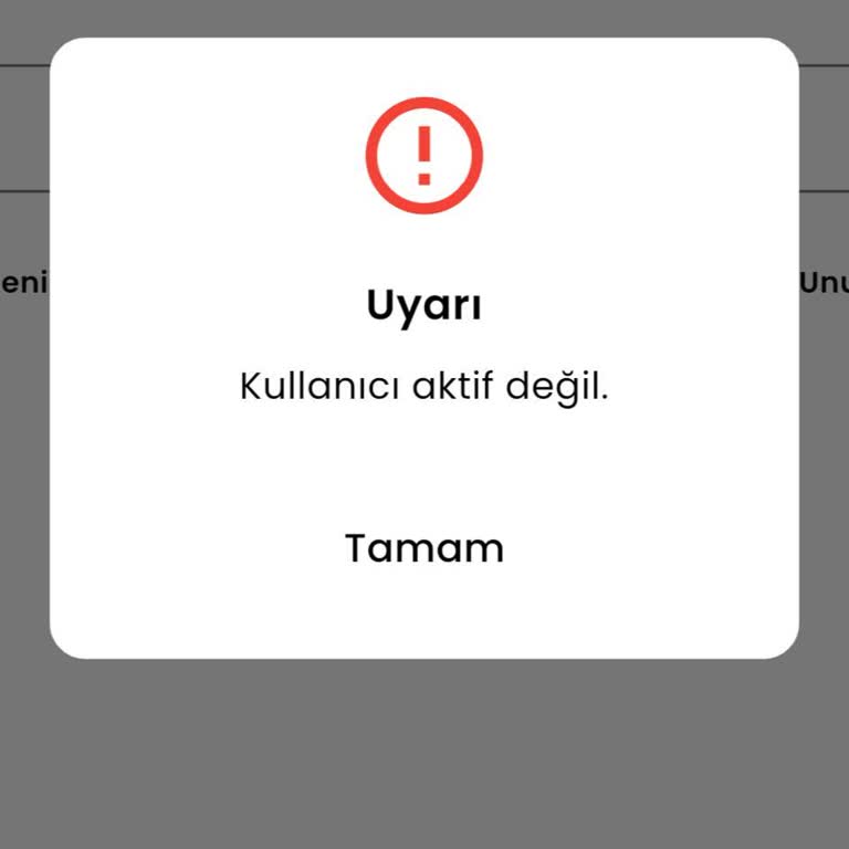 Paratim Hesabıma Erişim Engellendi, 40.000 TL Bakiyeme Ulaşamıyorum