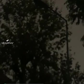Alo 186 Bedaş Çağrı Merkezi Sokak Lambaları Günlerdir Yanmıyor, Gelip Yapmıyorlar Defalarca Aradım!