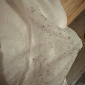 Küflü Islak Havlu Ve Cevapsız Müşteri Hizmetleri