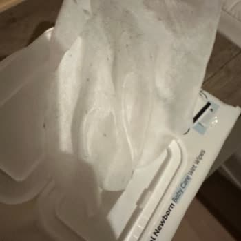 Küflü Islak Havlu Ve Cevapsız Müşteri Hizmetleri