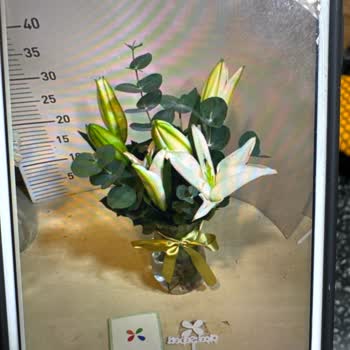 Sipariş Ettiğim Lilyumlar Görseldekinden Farklı Ve Müşteri Hizmetleri Çözüm Sunmuyor