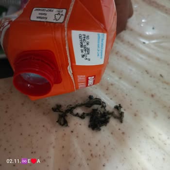 Meyve Suyunda Anormal Tat Ve Belirsiz Maddeyle Karşılaştım