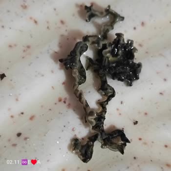 Meyve Suyunda Anormal Tat Ve Belirsiz Maddeyle Karşılaştım