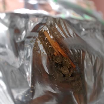 Kantinden Alınan Eti Crax Krakerde Şüpheli Madde Şoku