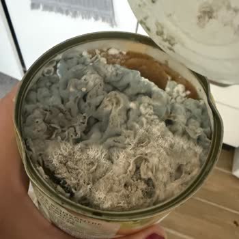 Son Kullanma Tarihi Geçmemiş Salça Tamamen Küflü Çıktı, Büyük Hayal Kırıklığı Yaşadım