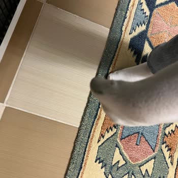 Aldığım Puma Ayakkabıda Renk Akması Ve Mağazadan Çözüm Alamama Sorunu