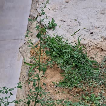 Sözleşmeye Rağmen Geç Teslim Ve Eksik İşçilik Mağduriyeti