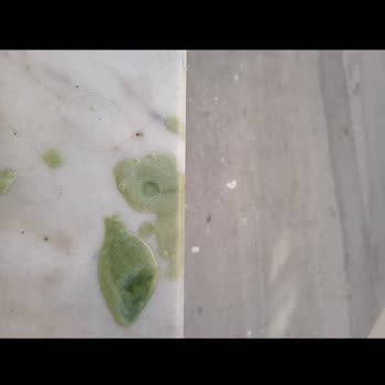 Bursa Yıldırım Belediyesi Üst Kattan Sürekli Camdan Toz Ve Eşya Silkelenmesi Yaşam Kalitemi Bozuyor