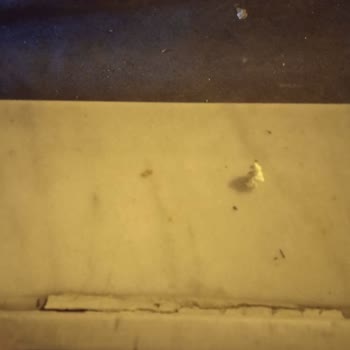 Bursa Yıldırım Belediyesi Üst Kattan Sürekli Camdan Toz Ve Eşya Silkelenmesi Yaşam Kalitemi Bozuyor