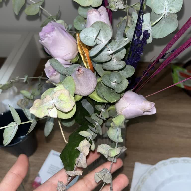 Soluk Ve Çürük Çiçekler, Para İadesi Talebim Karşılanmadı