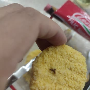 Lezita Nugget Ürününde Böcek Benzeri Yabancı Maddeyle Karşılaştım