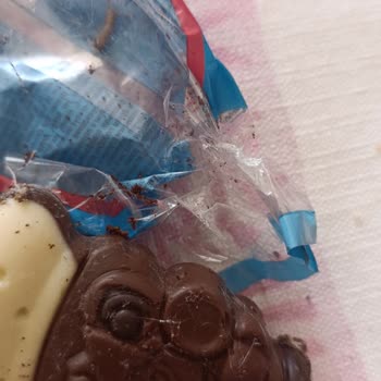 Son Kullanma Tarihi Geçmemiş Üründe Kurtlanma Şoku Yaşadım