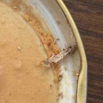 Aldığım Fıstık Ezmesinin Kapağında Küf Ve Jelatin Eksikliğiyle Karşılaştım