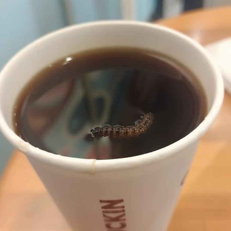 Kahvemden Böcek Çıktı, Çalışanlar İlgisiz Kaldı