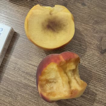 Aldığım Şeftali Ve Nektarinler Tamamen Bozuk Çıktı