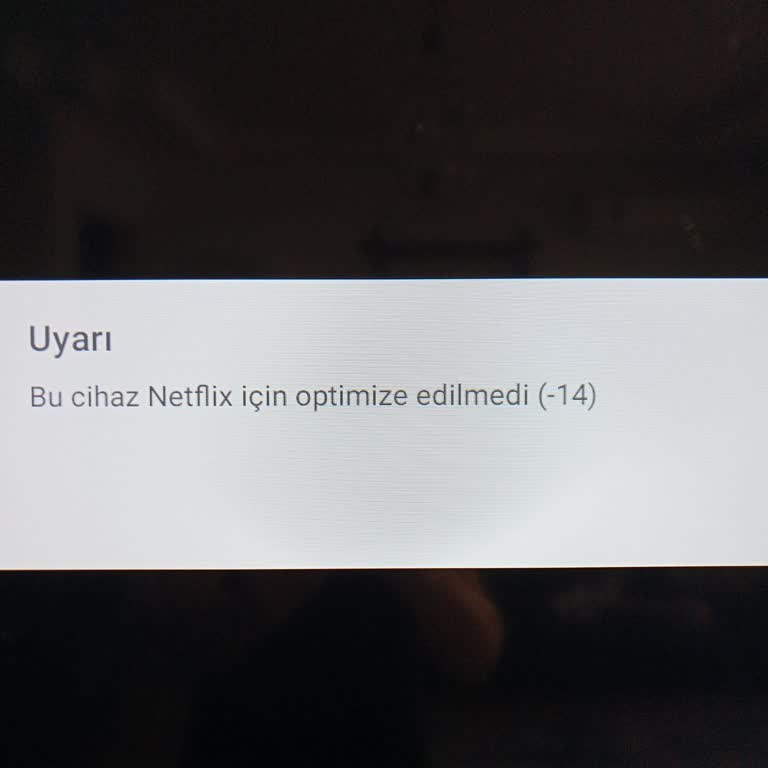 Nordmende Tv Netflix Uygulamasına Girişte Sorun Yaşıyorum