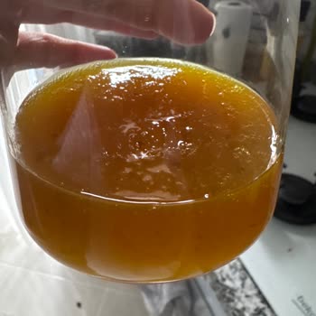 Argavit Focus Şurubunda Kırmızı Parçacıklar Ve Sağlık Sorunları Yaşadım