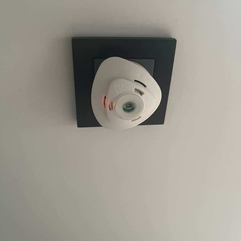 Raid Yeni Nesil Elektro Ürünü Sinekleri Uzaklaştıramıyor, İade Talebim Var