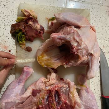 Aldığım Tavuğun İç Organları Ve Safra Sıvısı Üründe Çıktı, Sağlığımız Tehlikeye Girdi