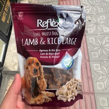 Reflex Mama Sonrası Evcil Hayvanlarda İshal Problemi Ve Mağduriyet