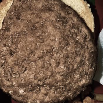 Burger King Güneşli Şubesinde Kalitesiz Et Ve İlgisiz Müdür Davranışı