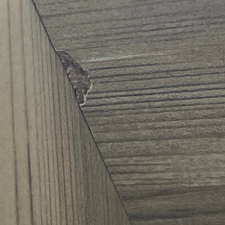 Modalife Erzurum Mağazasından Aldığım Genç Odası Takımında Teslimat ve Eksik Parça Sorunu