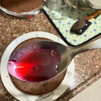 Dondurulmuş Orman Meyvelerinden Kurt Çıkması Nedeniyle Ücret İadesi Talebim